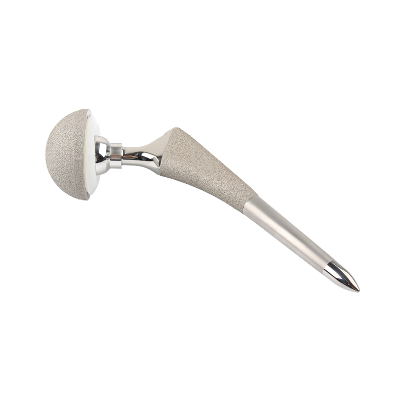 China FDS total hip joint implant bipolar Manufacturer and