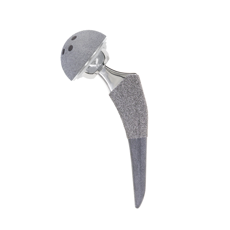 China Hot sale Ti alloy JDS total hip replacement titanium